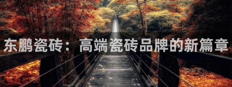 香港和记通讯官网：东鹏瓷砖：高端瓷砖品牌的新篇章