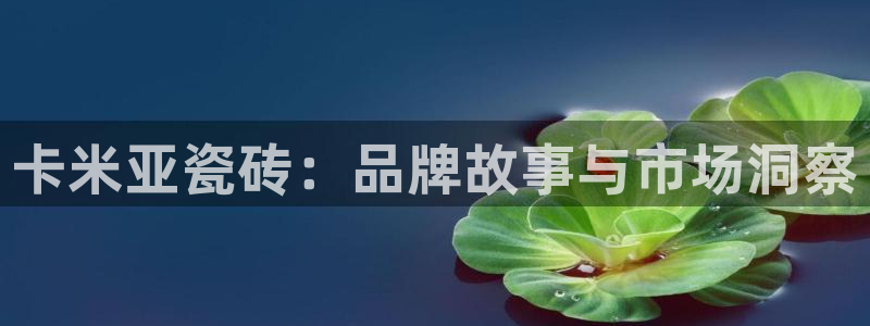 和记卡官网：卡米亚瓷砖：品牌故事与市场洞察