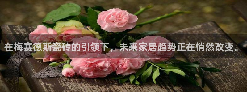 和记官网加盟