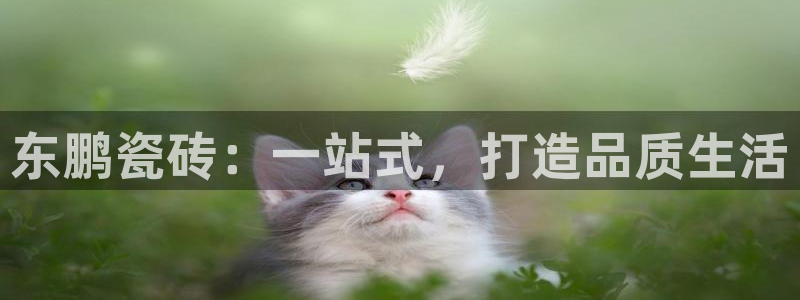 和记电讯APP官网充值