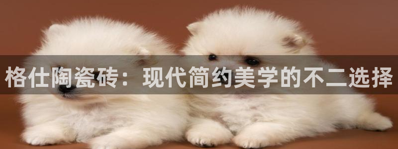 和记怡情博娱中国官网