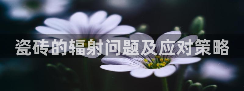 和记火爆官网