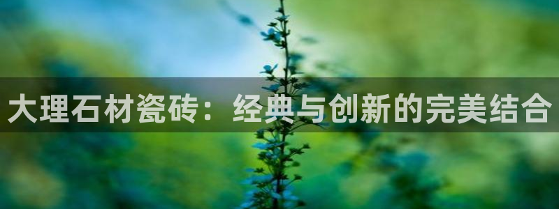 和记官网平台入口