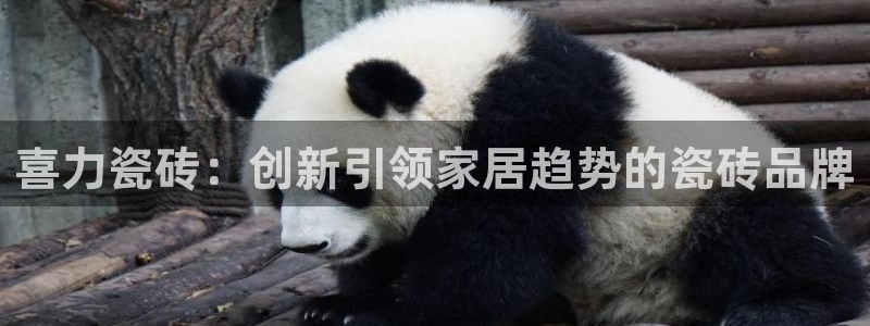 印尼和记官网