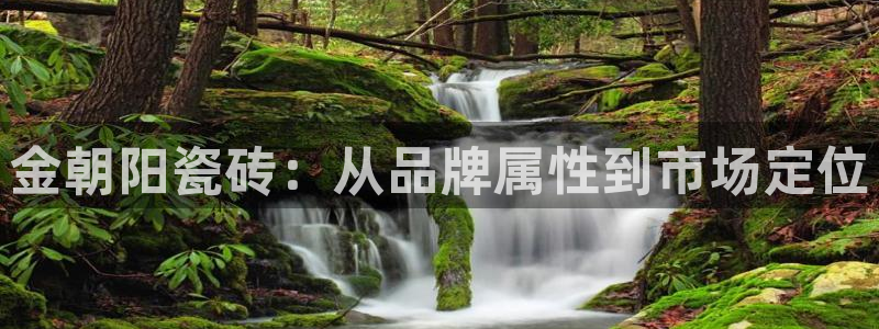 和记国际官网电话