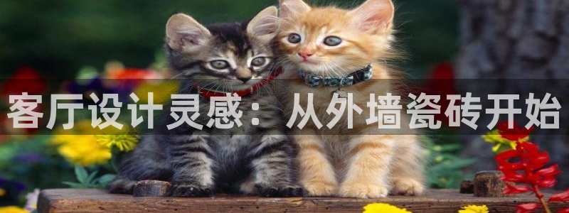 和记怡情视频官网