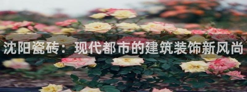 和记娱官网h88285怡情