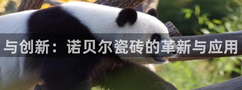 和记3卡官网是哪
