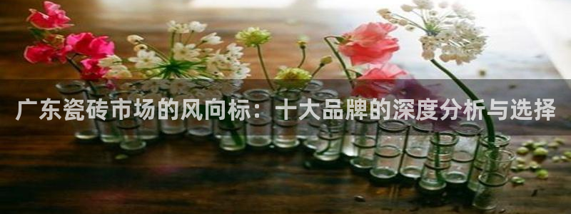 和记娱技精h88285官网