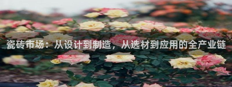 成都和记公司官网