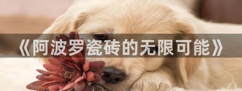 和记188官网