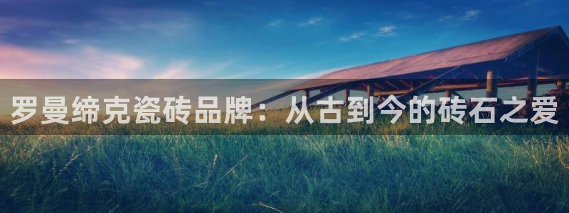 和记体育买球官网