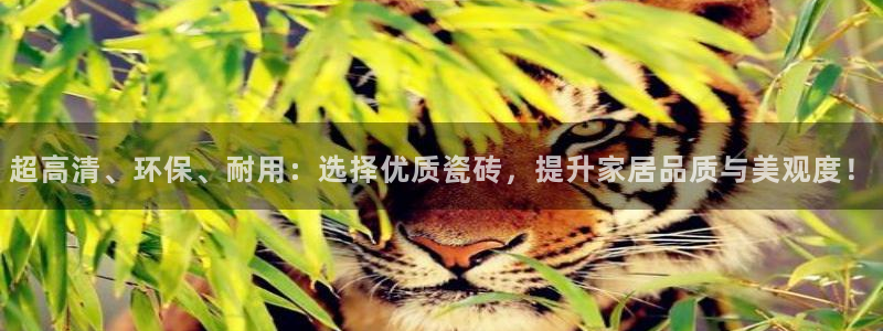 和记网址官网