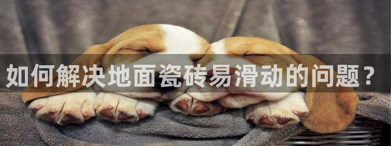 澳门和记客服官网