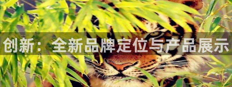 和记手机版官网
