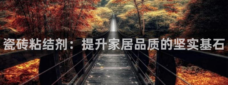 和记环球电讯官网