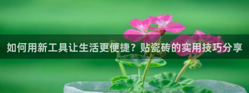 和记国际官网官网