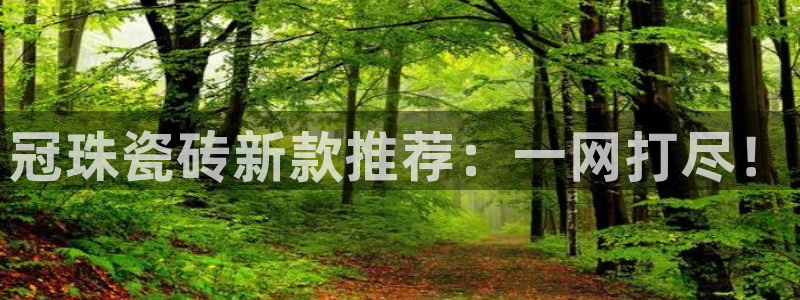 澳门和记电信官网
