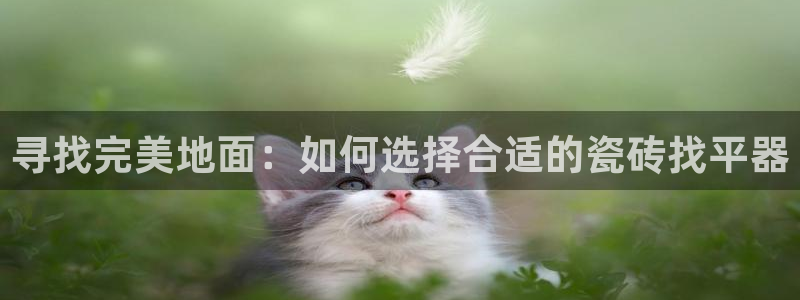 和记娱乐手机官网