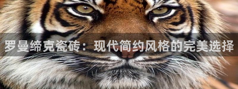 和记黄埔m 官网