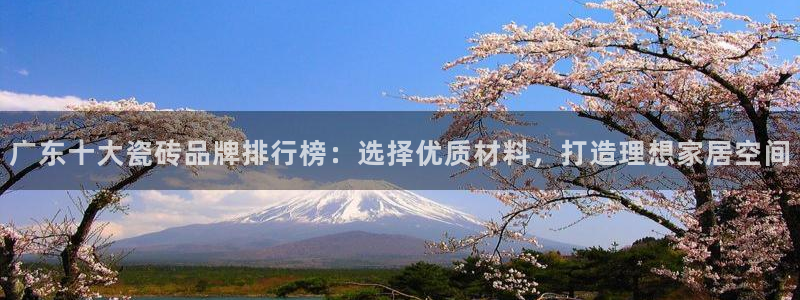 和记手游官网