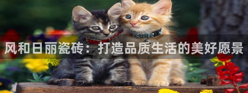 白云 和记黄埔官网电话