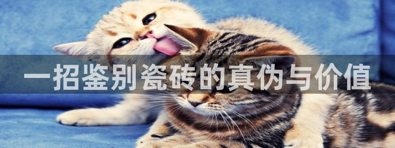 和记官网备用客户端