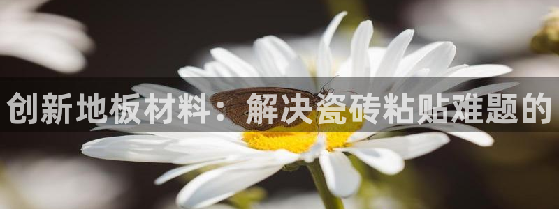 和记洋行官网