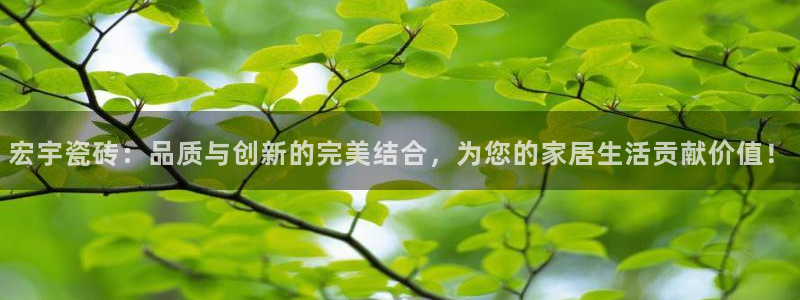 香港3和记官网