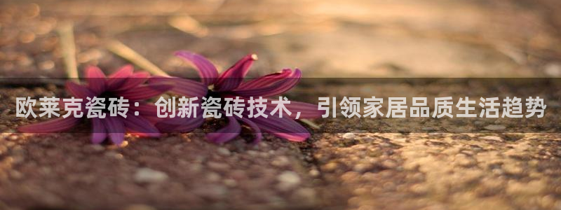 澳门和记官网娱乐场