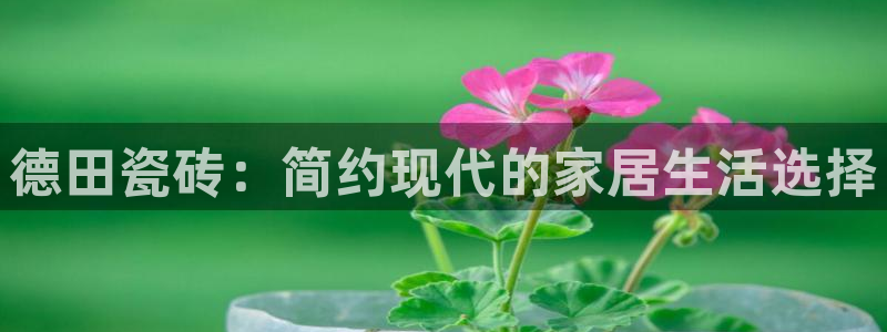 和记手机官网