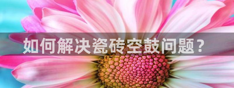 和木记官网