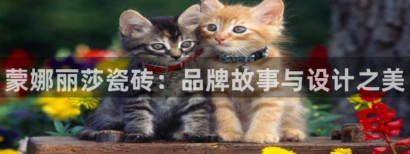 和记hgc官网