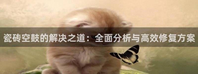 和记娱永久h88285官网