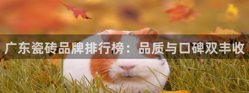 和记电讯香港官网