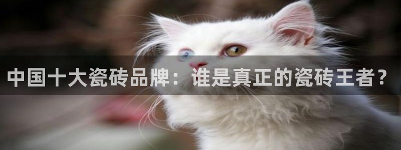 和记h88官网