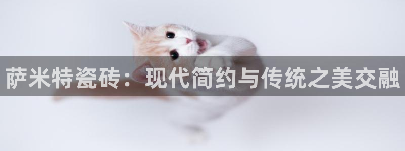 和记电讯app官网