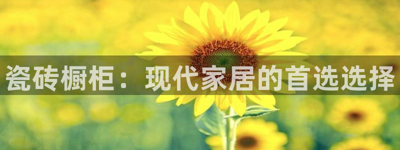 和记娱乐app官网