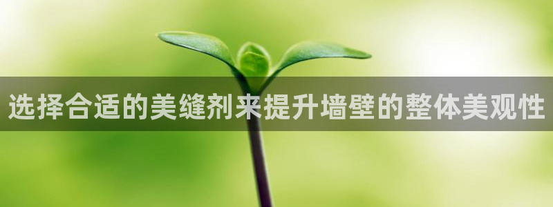 成都和记黄埔官网