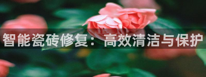 菲律宾和记官网