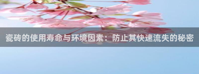 和记黄埔武汉官网
