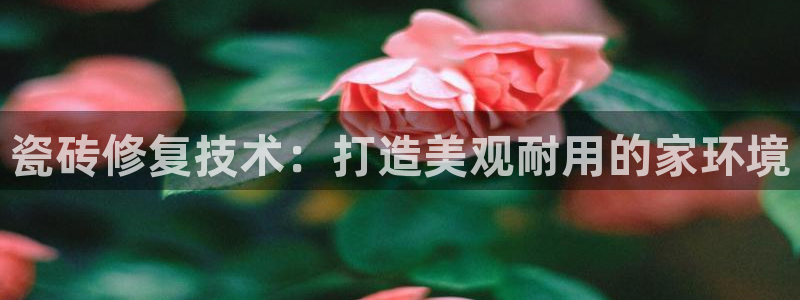 和记 官网