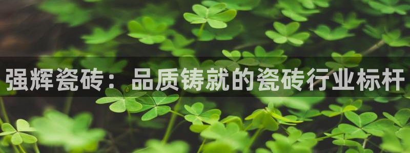 和记备用官网
