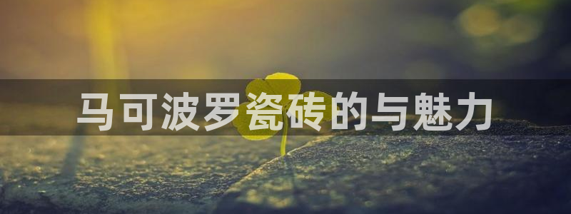 和记怡情视频在线官网