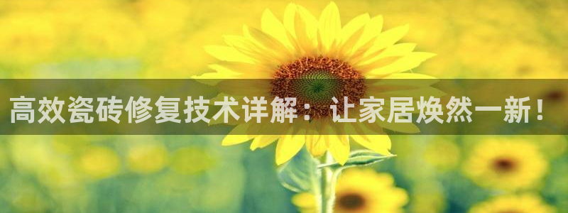 和记黄埔集团官网