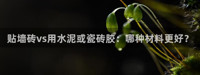 和记国际官网电话