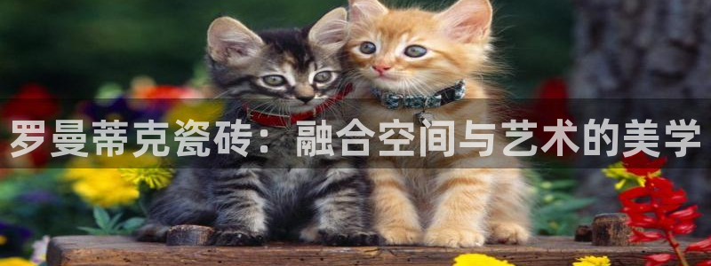 和记电讯官网澳门