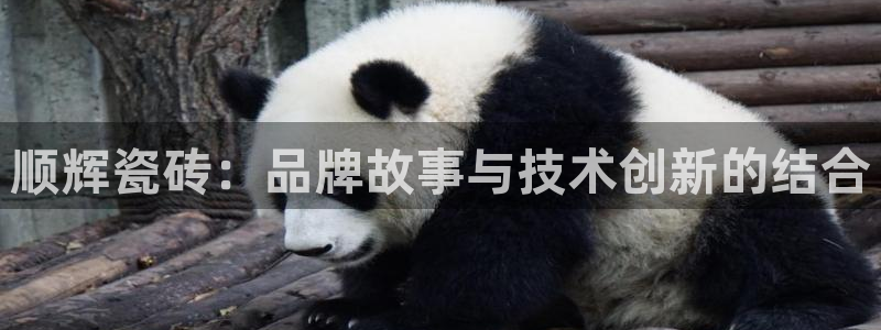 和记国际官网官网