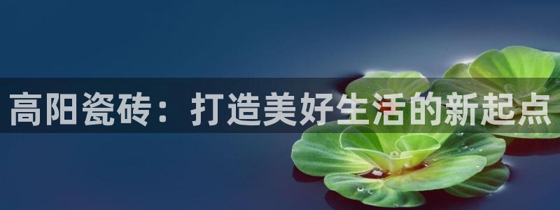 和记怡情视频在线官网