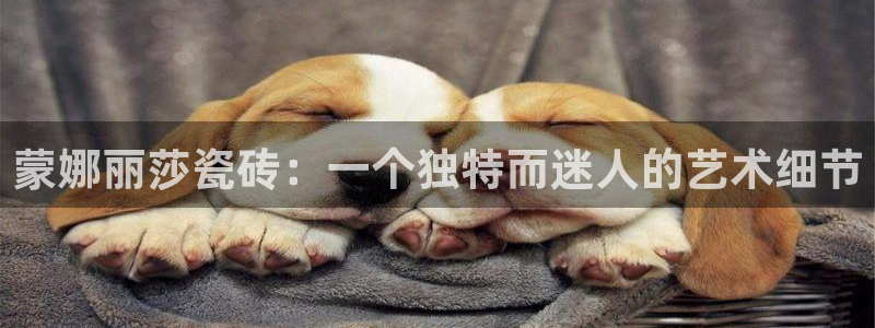 和记怡情博物官网